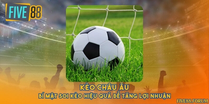 Kèo châu Âu - Bí mật soi kèo hiệu quả để tăng lợi nhuận